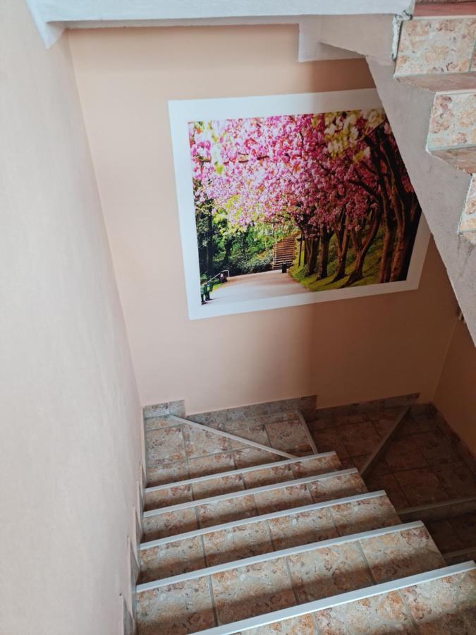 Apartman'S Ana Pale-Oc Jahorina No.2 Luaran gambar